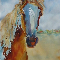 caballo-antonito